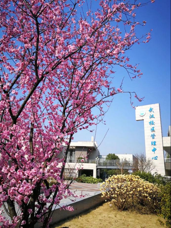 女优a片