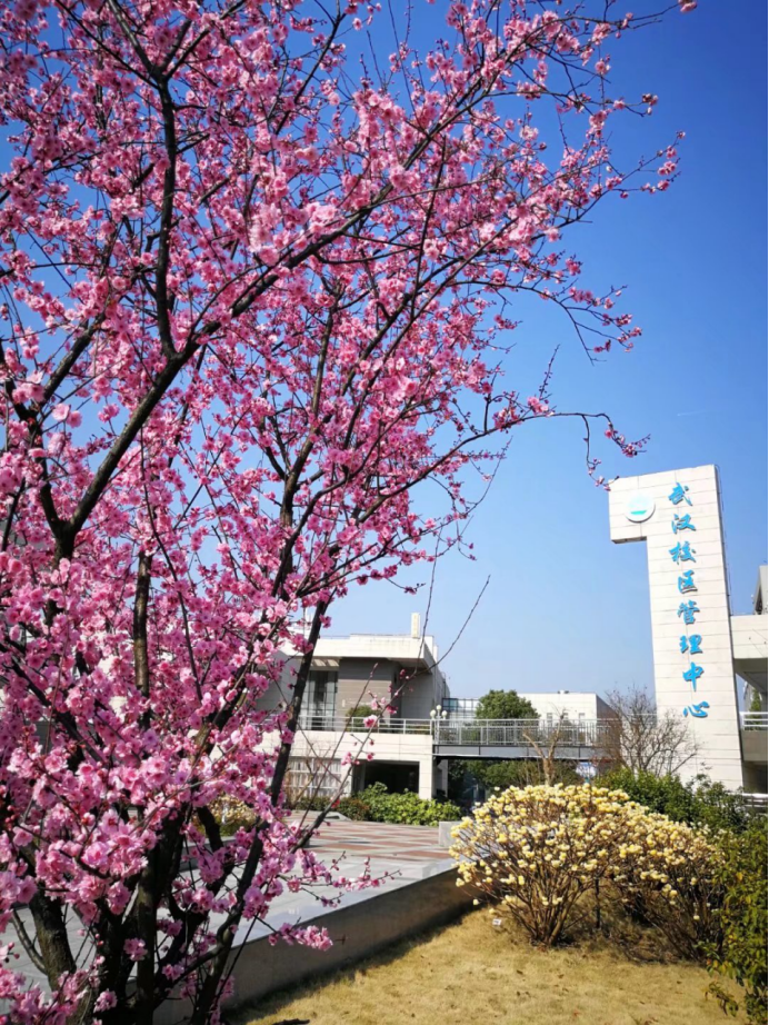 女优a片